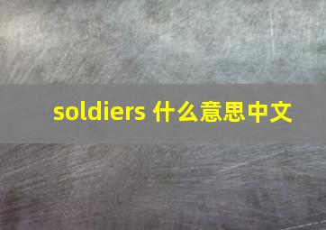 soldiers 什么意思中文